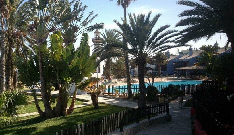 Apartment Calle los Pinos Canary Islands - Apt 36698